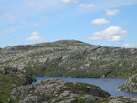 Grønhaug