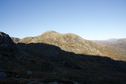 Tengdalsnuten