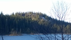 Uglahaugåsen