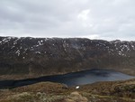 Austelidheida