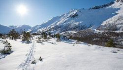 Forsetberget