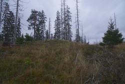 Laskerudåsen