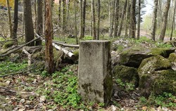 Bystein 37