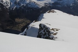 Nessethornet
