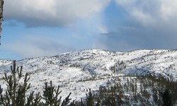 Tysjønatten