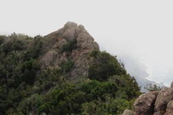 Roque Icoso