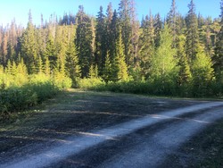 Grandsetran bom og P-lomme