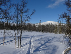 Rognsjøkampen