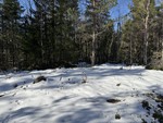 Bukktjennåsen