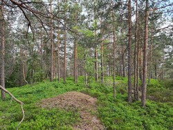 Svenskeåsen