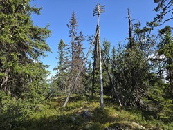 Storehøgahaugen