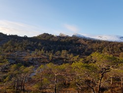 Ørnehaugen