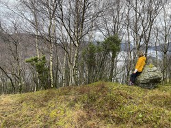 Høgehammaren