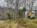 Høgehammaren