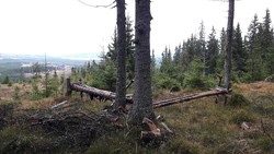 Øverlihøgda