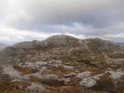 Plomreidnuten