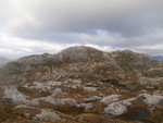 Plomreidnuten