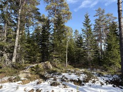 Eikeheihøgda