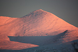 Ljosåbelgen