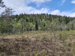 Dæliseteråsen