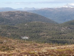 Brekkefjellet