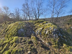 Meåsen