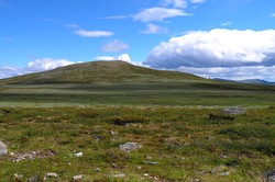 Buhø