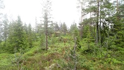 Botolfshøgda