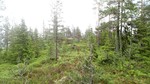 Botolfshøgda