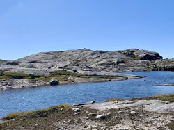 Sanddalsnuten