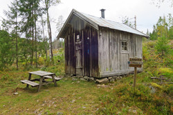 Gaukoset