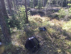 Fjøseråsen