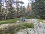 Brånan