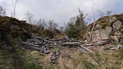 Lyngtun (ruin)