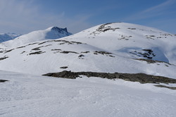 Sæterhøa