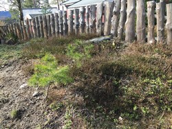 Haveråsen