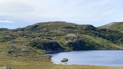Mosaloftet