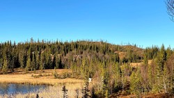 Okstjønnåsen