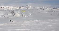 Tyineggi