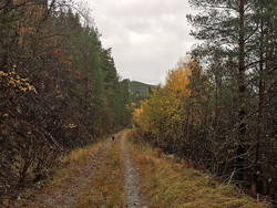 Trollhaug