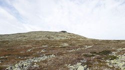 Prestbuhøgda