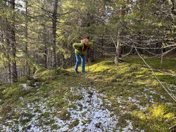 Koltjønnberget