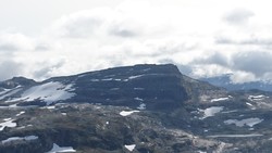Svartenuten