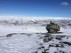 Grøhovdnuten