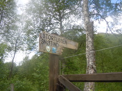 Stortussen p-lomme