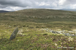 Stulshøgdin Sør