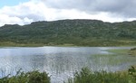 Grasfjell