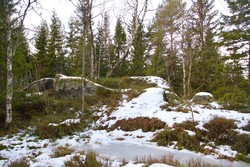 Buåsen
