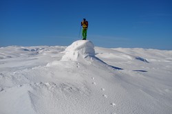 Skjemmehorgi