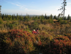 Brennhaugen
